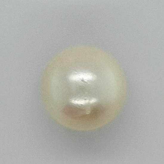 Pearl (Moti) 12.64 Ct Good Quality Pearl (Moti) 12.64 Ct Good Quality